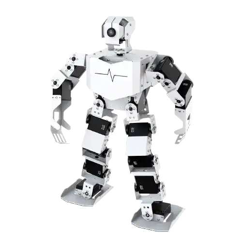 humanoid-triathlon