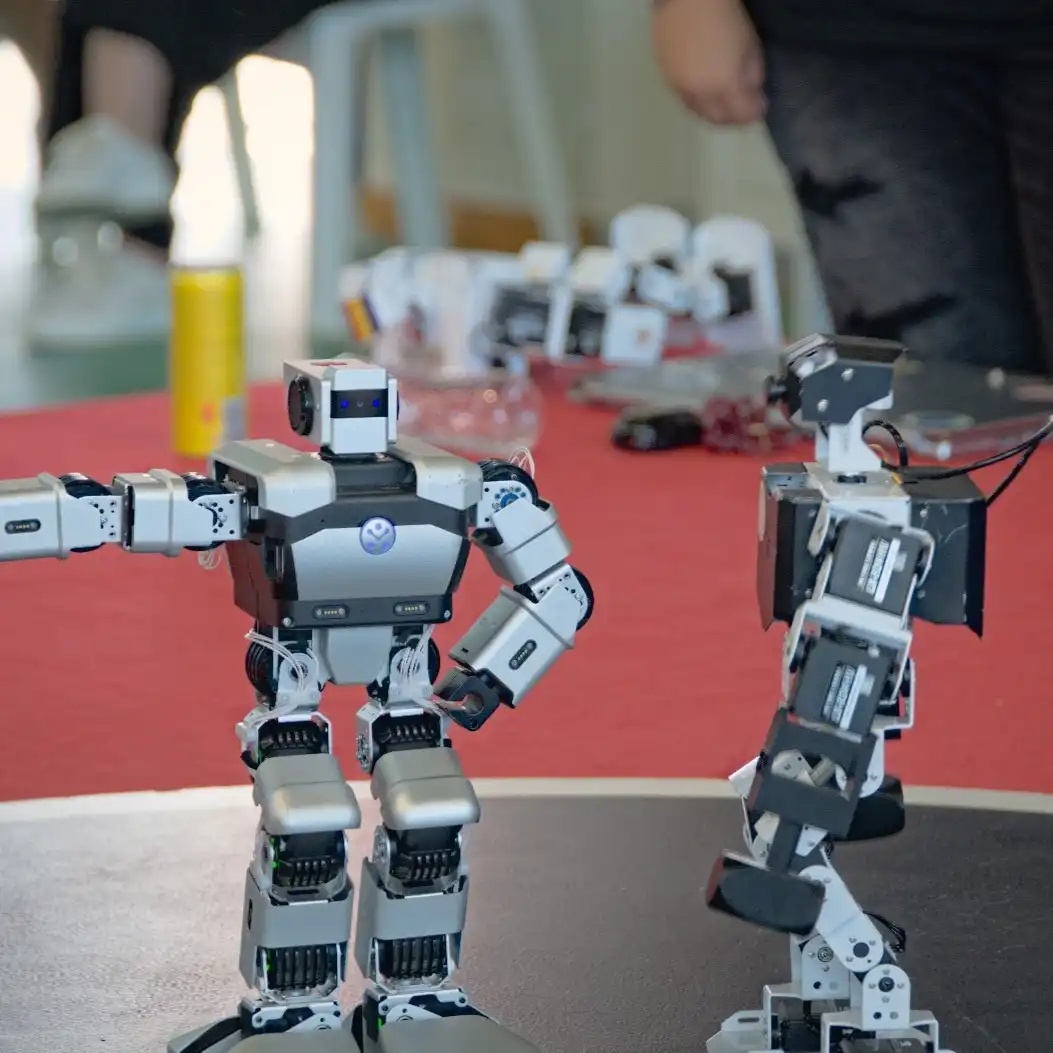 Humanoid Sumo