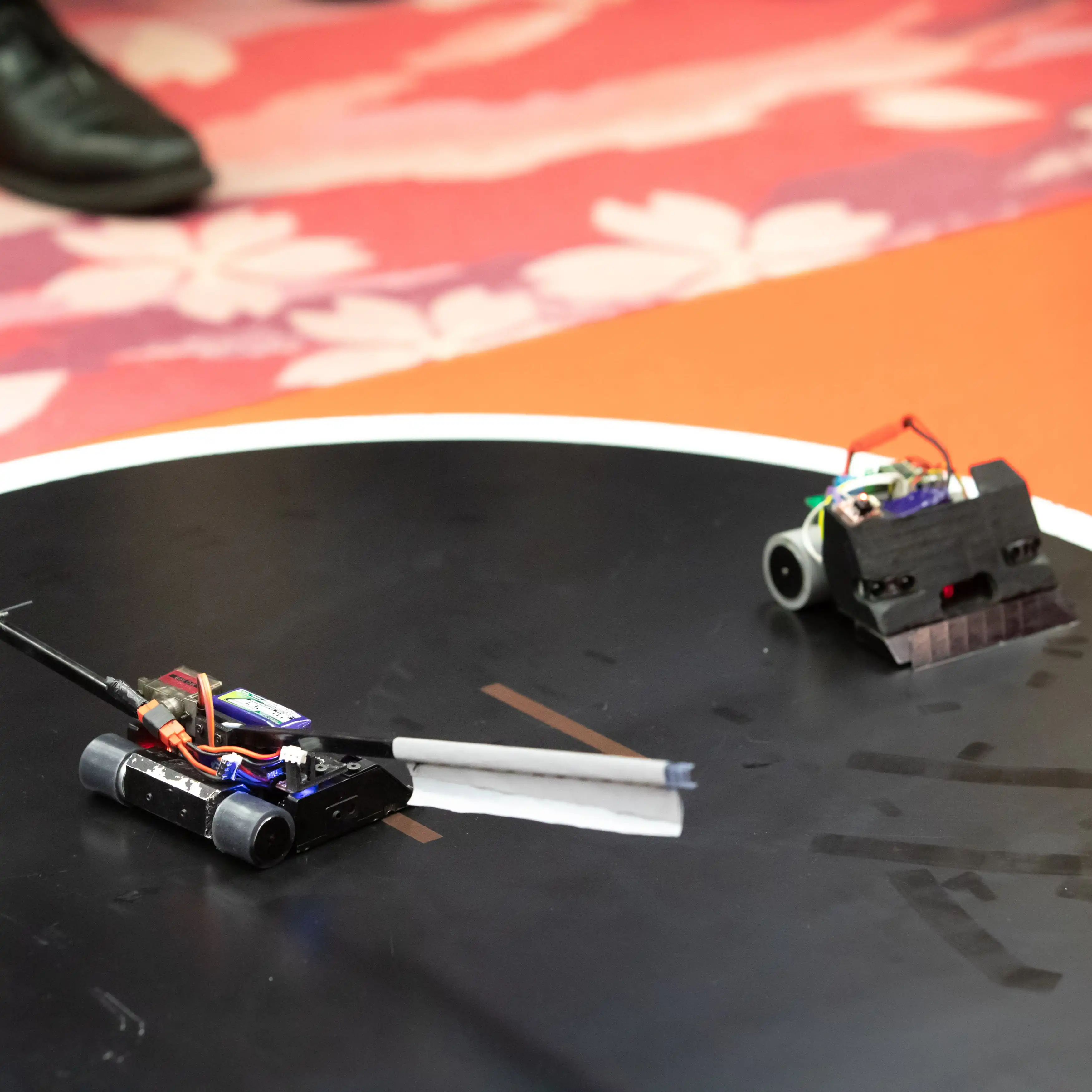 Mini Sumo